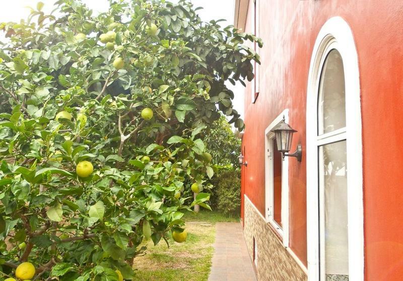Casa Buganvilla Los Realejos Eksteriør billede